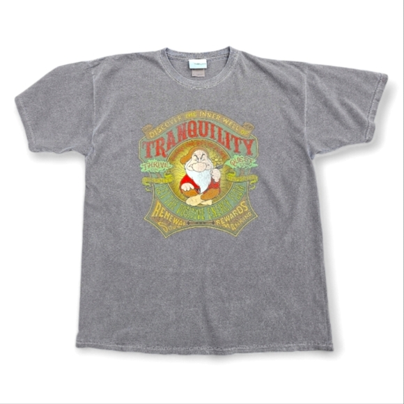 Disney Other - Vintage Men's Disney World "Grumpy" T-shirt , Size XL